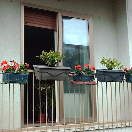 Guest House Cuore Del Friuli Udine Exterior foto