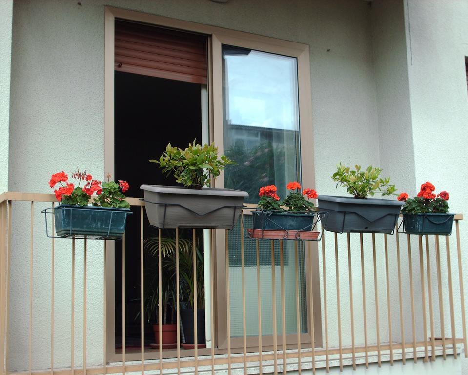 Guest House Cuore Del Friuli Udine Exterior foto